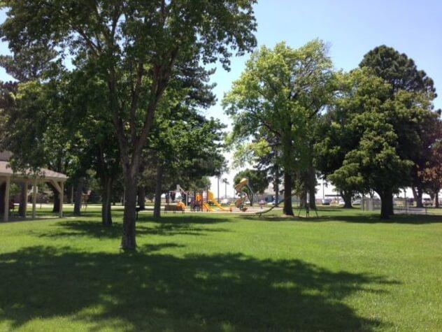 Wide view of the city park with trees in the foreground and play equipment in the background.
